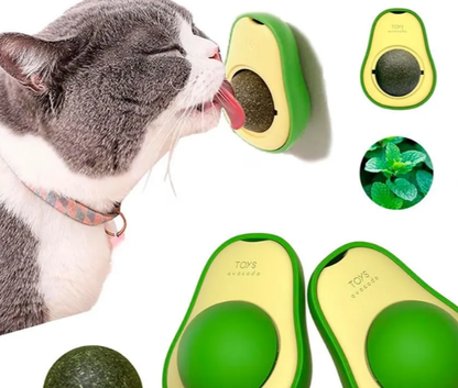 Golosina gato YERBA GATERA en palta