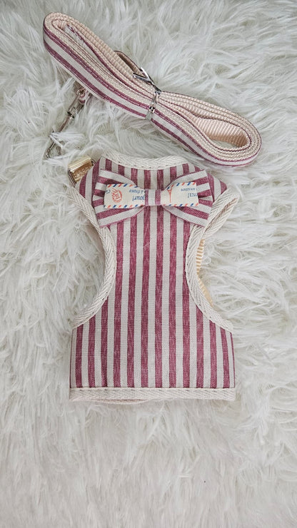 Arnés smoking  M - Para perros 👔